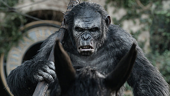 Planet of the Apes, , background HD wallpaper