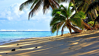 Islands , Breathtaking beauty, Serene landscapes, Tropical paradise HD wallpaper