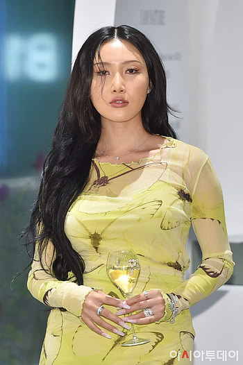 HWASA, MAMAMOO HD phone wallpaper