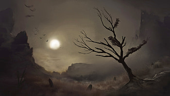 The Last Place, gothic, crows, fantasy, landscape, graveyard, sun, ravens, dark HD wallpaper