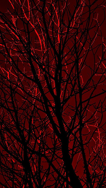 Red Aesthetic, Wooden Tree HD phone wallpaper