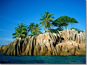 Palms over the ocean, blue, palm, peaceful, serene, beach, canyon, water, calm, ocean, sea, beautiful, tree, mountain, rock, green, nature, sky, cliff HD wallpaper