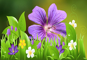 Spring theme, flowers, nature, pretty, green HD wallpaper