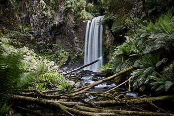 Nature, Stones, Palms, Waterfall, Fern HD wallpaper