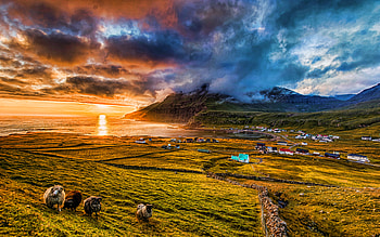 Denmark, R, sunset, coast, harbor, mountains, sheep, pasture, beautiful nature, Europe HD wallpaper