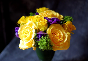 Flowers, Roses, Close-Up, Vase, Buds HD wallpaper