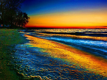 Ocean Sunset, waves, clouds, trees, sky, nature, sunset, ocean, beach HD wallpaper