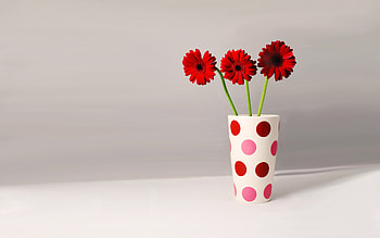 Plants, Flowers, Bouquets HD wallpaper