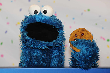 Cookie Monster, Sesame Street icon, 50th anniversary, Fox 5 San Diego celebration HD wallpaper