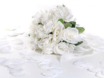 Plants, Flowers, Bouquets HD wallpaper