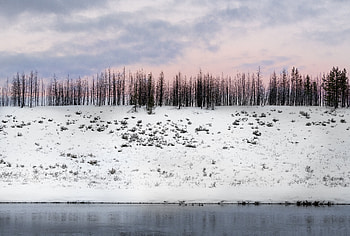 Winter, Nature, Trees, Snow, Snow Covered, Snowbound, Elevation HD wallpaper