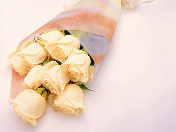 Flowers, Roses, Bouquet, Packaging, Delicate, Gentle HD wallpaper