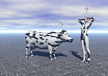 Bovinae, cow, confused, question, woman HD wallpaper