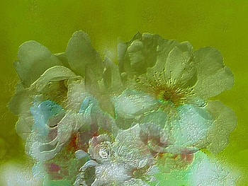 April Flowers, flowers, abstract, art, flower HD wallpaper