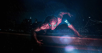 Spiderman New Cosplay, spiderman, superheroes, cosplay HD wallpaper