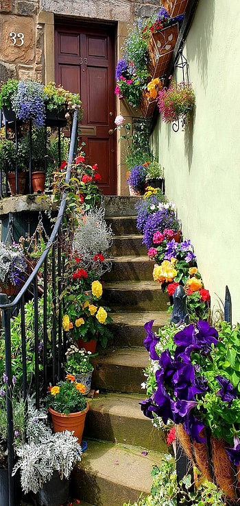 Edinburgh Doorstep, door, flower, man made HD phone wallpaper