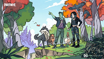 Raven (Dc Comics), Video Game, Fortnite, Beast Boy, Chicken, Dc Comics, Garfield Logan, Rachel Roth, Wolf HD wallpaper