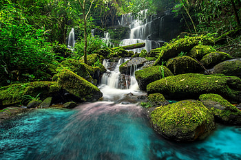 Waterfall, river, nature, moss HD wallpaper