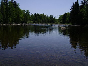 untitle6, blue, trees, river HD wallpaper