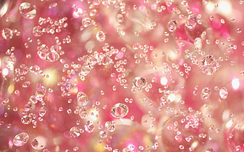 Pink jewels , Romantic and dreamy, Delicate beauty, Elegance and grace HD wallpaper