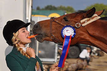 Trusting Horses, Trusting, Brown, Woman, Hat, Horses HD wallpaper