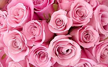 beautiful pink flower tumblr Â· Girly For ... HD wallpaper