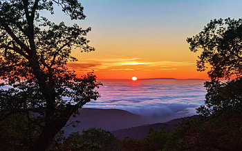 Amazing Sunset, mist, clouds, trees, colors, Landscape, sky, sun HD wallpaper