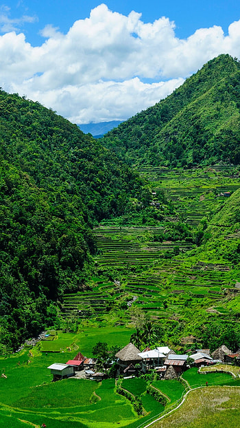 Banaue Rice Terraces, Windows 10 spotlight, Artistic village, Northern luzon charm HD phone wallpaper