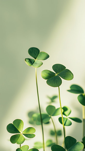 Spring Clover Serenity - Fresh, clover, spring HD phone wallpaper