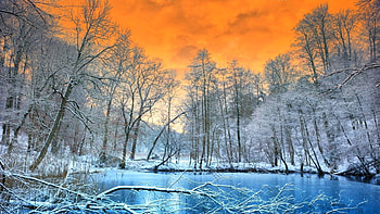 Winter Solstice, colors, trees, sky, snow, ice HD wallpaper