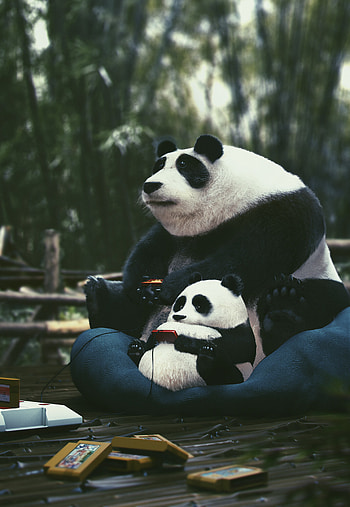 Pandas, Gamer, Miscellanea, Miscellaneous, Play, Cartridges, Joysticks HD phone wallpaper