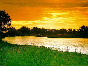 Sunset graphy, golden, river view, green, fields, sun, sunset HD wallpaper