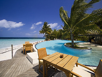 Landscape, Palms HD wallpaper