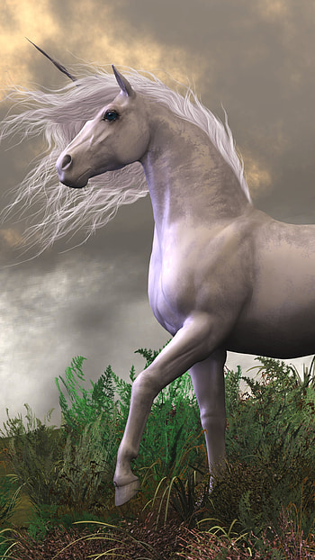 fantasy, unicorn HD phone wallpaper
