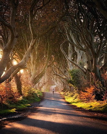 Ireland country, natural_landscape, road_surface HD phone wallpaper