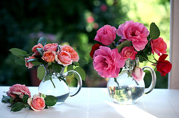 Flowers, Roses, Bouquets, Window, Jugs HD wallpaper
