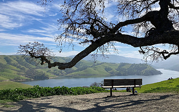 Lunch Spot by Lake Del Valle, USA, bench, USA, tree, lake HD wallpaper