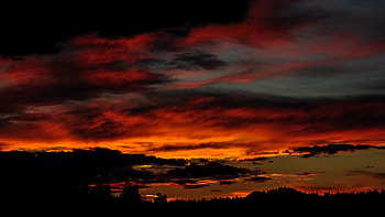 Trees Forest Under Black Clouds Blue Sky During Sunset Dark Background HD wallpaper