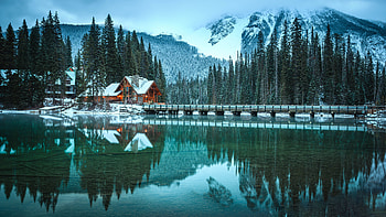 Yoho National Park, bridge, nature HD wallpaper