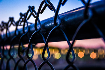 Macro, Glare, Grid, Fence, Bokeh, Boquet HD wallpaper