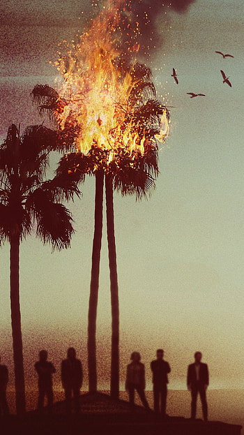 Animal Kingdom, , Moviemania, TNT HD phone wallpaper
