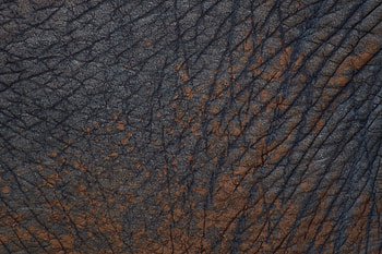 Texture, Textures, Grey, Folds, Pleating, Skin, Leather HD wallpaper