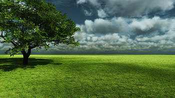 Nature Full HD wallpaper