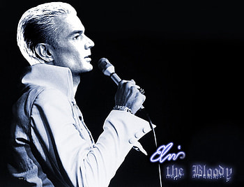 elvis vegas neon, spike, shy HD wallpaper