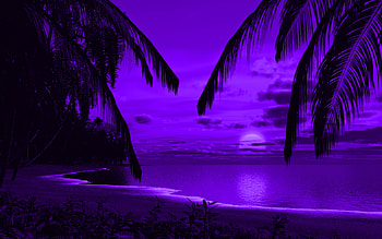 Palm Trees , palm, trees, purple, artist, artwork, digital-art HD wallpaper