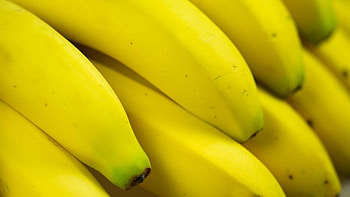 Banana collection, Diverse varieties, Wholesome goodness, Captivating visuals HD wallpaper
