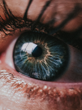 Macro, Glare, Close-Up, Eye, Pupil, Eyelash, Eyelashes, Eyelids HD phone wallpaper