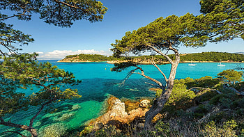 View on the sea, Croatia, mediterranean, sky, rocks, tree HD wallpaper