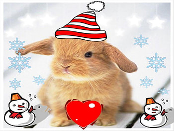 MARRY CHRISTMAS, animal, cartoon, cute, romence, colour, fentasy, 3d, love, red, hearts, road, funny, women, heart, water HD wallpaper