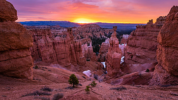 Bryce Canyon National Park, Michelle Johnson's , Natural wonder, Wall art HD wallpaper